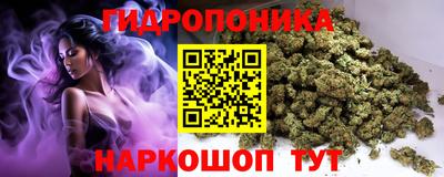 индика Ликино-Дулёво