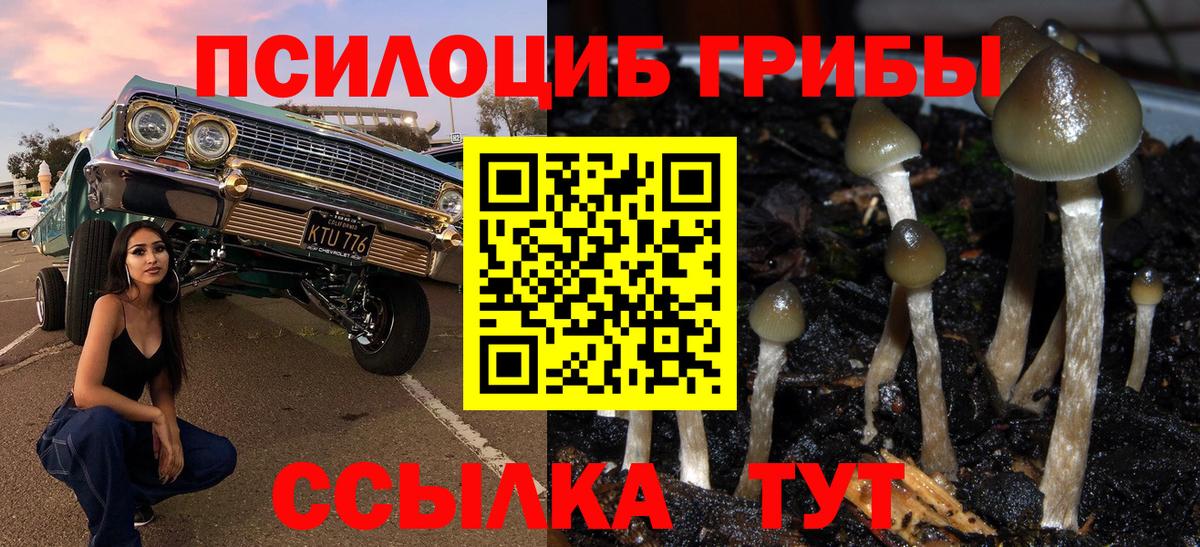 Псилоцибиновые грибы мухоморы  закладки  Ивантеевка 