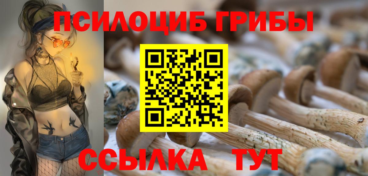 Галлюциногенные грибы Magic Shrooms  Вход с VPN  Ивантеевка 